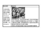 （新教材）2020地理新学案同步鲁教第二册（课件+优练）：第四单元 　单元活动　人文地理社会调查 (共2份打包)