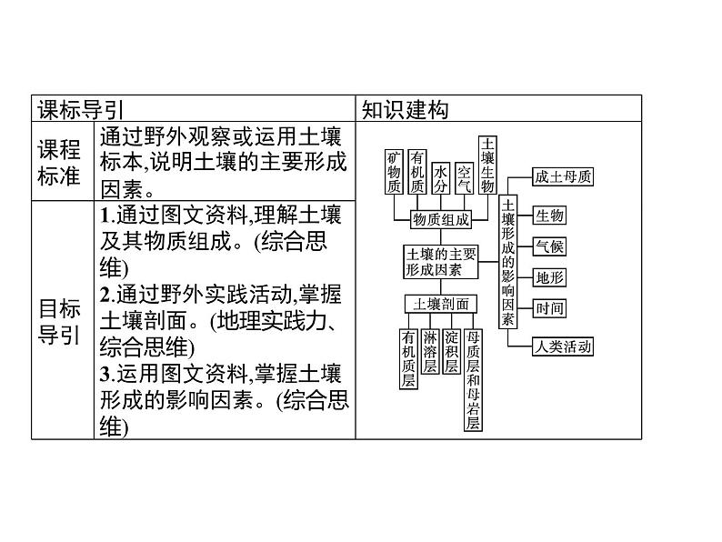 第二章　第六节　土壤的主要形成因素 课件-中图（2019）必修第一册地理02