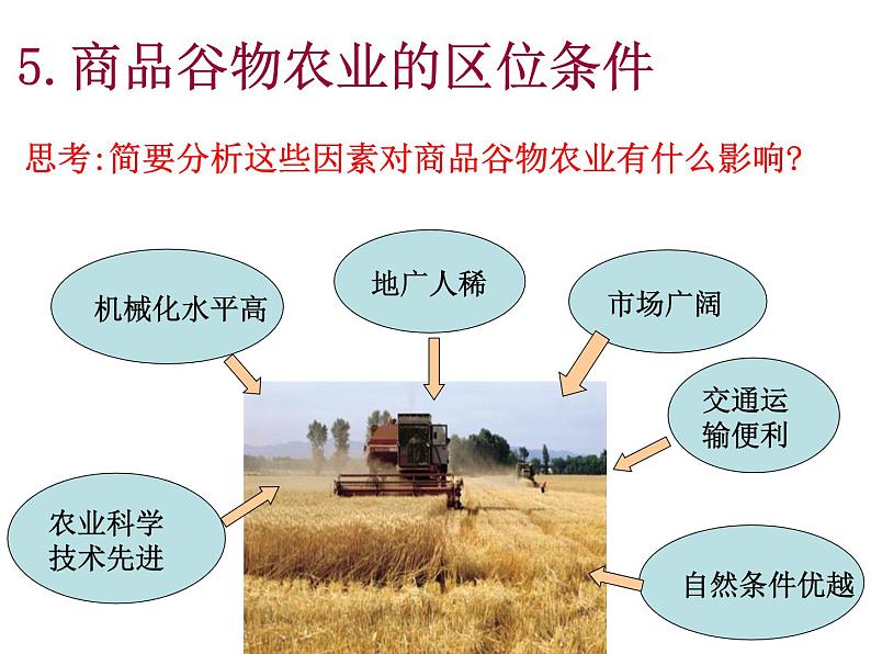 人教版高中地理必修二3.2.2以种植业为主的农业地域类型课件  (共15 张PPT)07