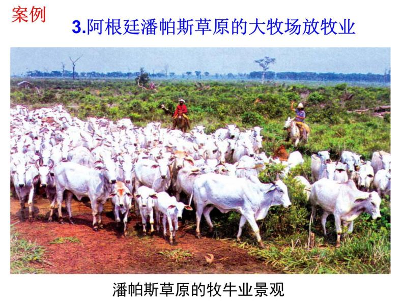 人教版高中地理必修二3.3.1以畜牧业为主的农业地域类型课件 (共13 张PPT)04