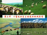 高中地理 3.3以畜牧业为主的农业地域类型课件 新人教版必修2