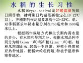 高中地理 3.2以种植业为主的农业地域类型课件 新人教版必修2
