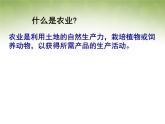 高中地理 3.1农业地域的形成课件1 新人教版必修2