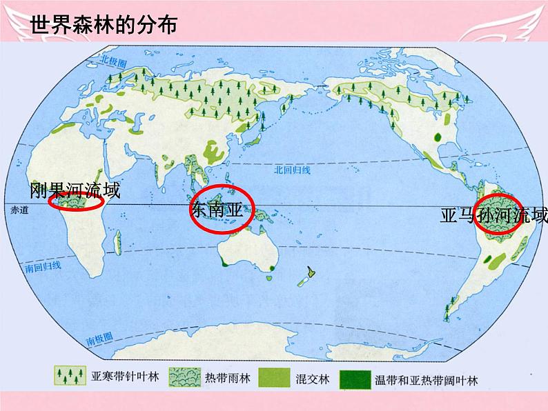 高中地理 2.2森林的开发和保护-以亚马孙热带雨林为例课件 新人教版必修306