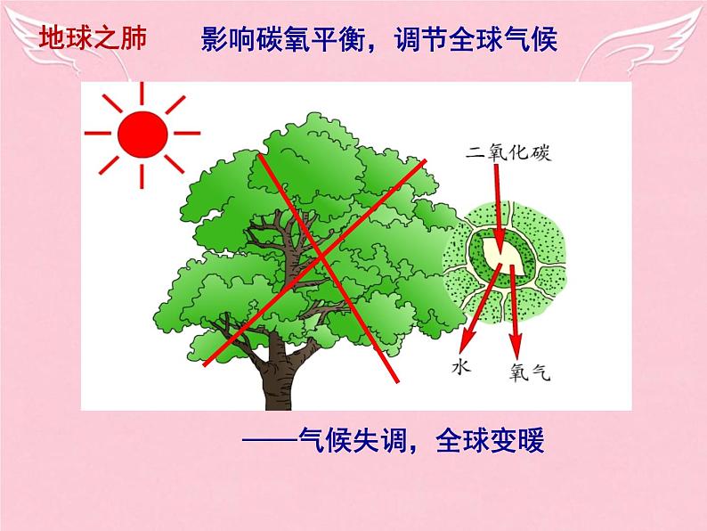 高中地理 2.2森林的开发和保护-以亚马孙热带雨林为例课件 新人教版必修308