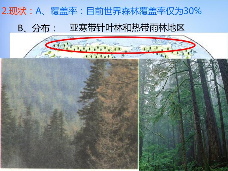 高中地理 2.2森林的开发和保护课件1 新人教版必修306