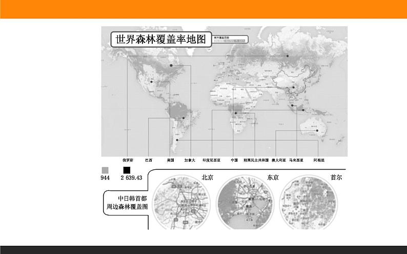 高二地理人教版选修6课件：4.1 森林及其保护03