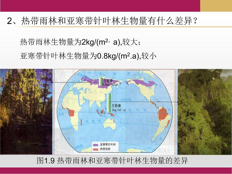 2020-2021学年新教材地理人教版必修第一册同步教学课件：基础案 1.2太阳对地球的影响 课件（24张)08