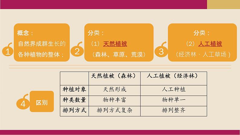 2020-2021学年新教材地理人教版必修第一册同步教学课件：基础案 5.1 植被 第1课时 课件（14张）05