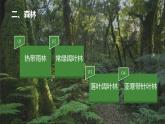 2020-2021学年新教材地理人教版必修第一册同步教学课件：基础案 5.1 植被 第2课时 课件（24张）