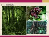 2020-2021学年新教材地理人教版必修第一册同步教学课件：基础案 5.1 植被 第2课时 课件（24张）