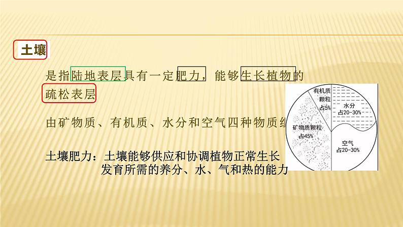 2020-2021学年新教材地理人教版必修第一册同步教学课件：基础案 5.2 土壤 第1课时 ）课件（22张）05