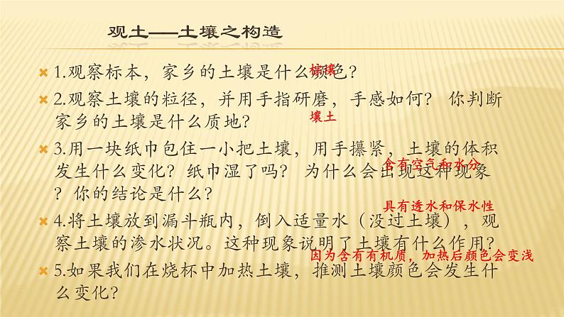 2020-2021学年新教材地理人教版必修第一册同步教学课件：基础案 5.2 土壤 第1课时 ）课件（22张）07