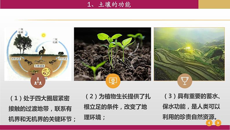 2020-2021学年新教材地理人教版必修第一册同步教学课件：基础案 5.2 土壤 第2课时课件（16张）04