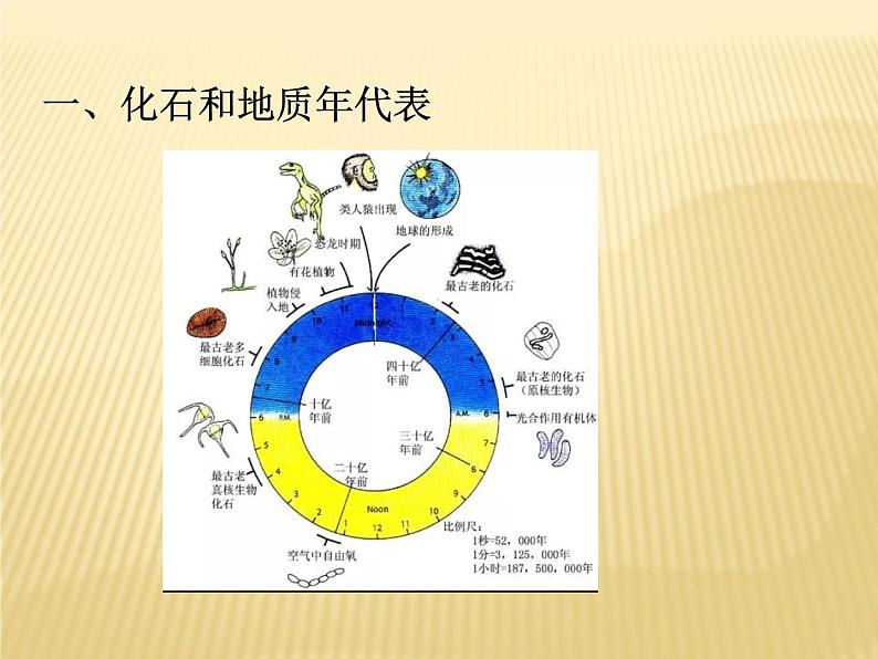 2020-2021学年新教材地理人教版必修第一册同步教学课件：提升案 1.3 地球的历史（第1课时） 课件（15张）03