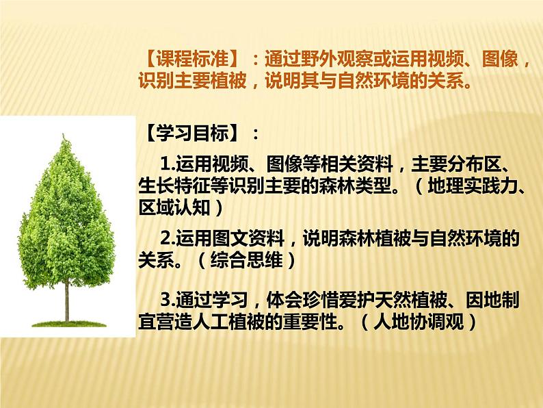 2020-2021学年新教材地理人教版必修第一册同步教学课件：提升案 5.1植被（第1课时） 课件（36张）02