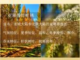 2020-2021学年新教材地理人教版必修第一册同步教学课件：提升案 5.1植被（第1课时） 课件（36张）