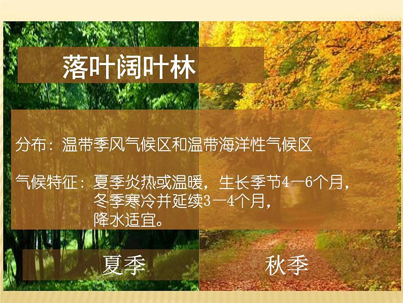 2020-2021学年新教材地理人教版必修第一册同步教学课件：提升案 5.1植被（第1课时） 课件（36张）06