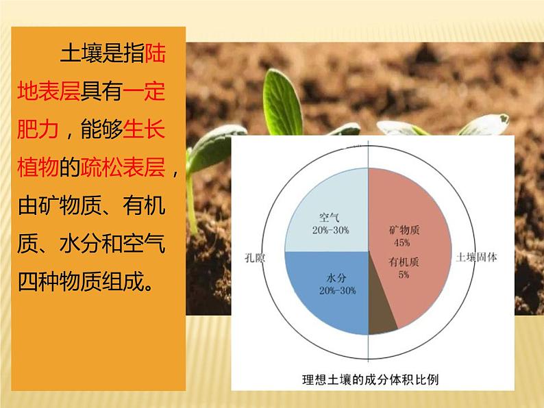 2020-2021学年新教材地理人教版必修第一册同步教学课件：提升案 5.2土壤（第1课时） 课件（35张）06