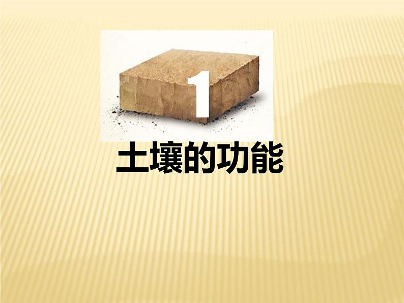 2020-2021学年新教材地理人教版必修第一册同步教学课件：提升案 5.2土壤（第2课时） 课件（23张）03