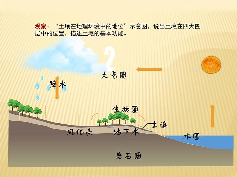 2020-2021学年新教材地理人教版必修第一册同步教学课件：提升案 5.2土壤（第2课时） 课件（23张）04