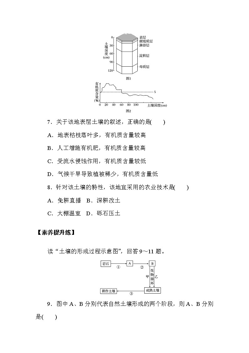 【新教材】2020-2021学年高中地理人教版必修第一册课时分层作业16　土壤 练习03