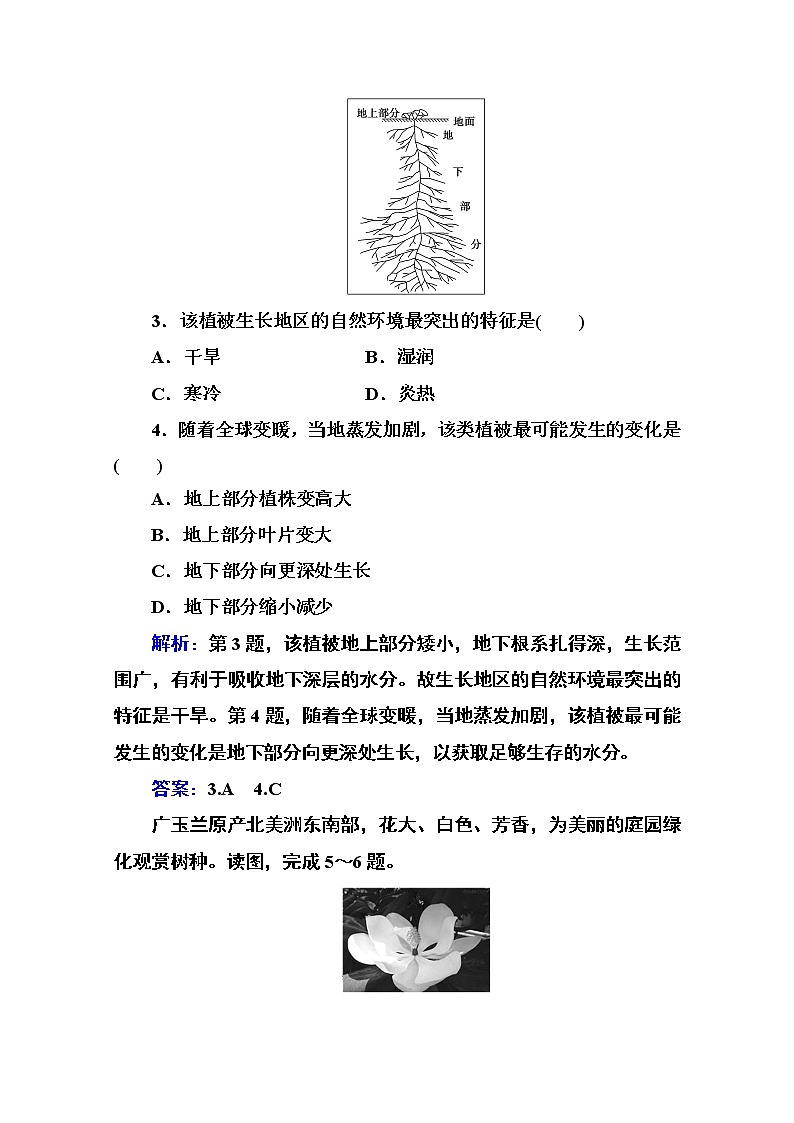 2020秋新教材地理中图版必修第一册素养达标练习：第二章第七节 植被与自然环境的关系02