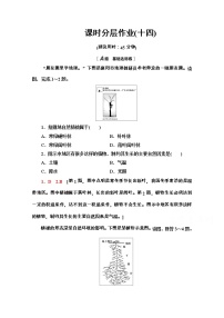 高中第七节 植被与自然地理环境的关系随堂练习题