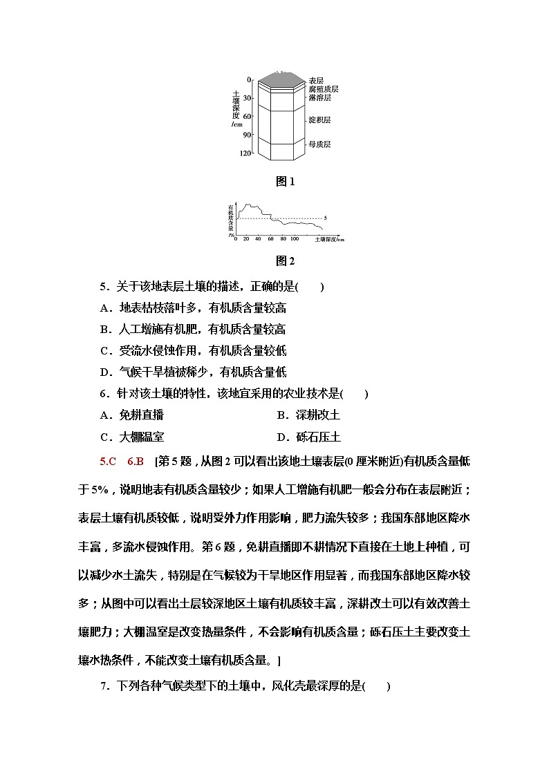 （新教材）【中图版】2020版地理新导学必修一课时分层作业11　土壤的主要形成因素 练习03