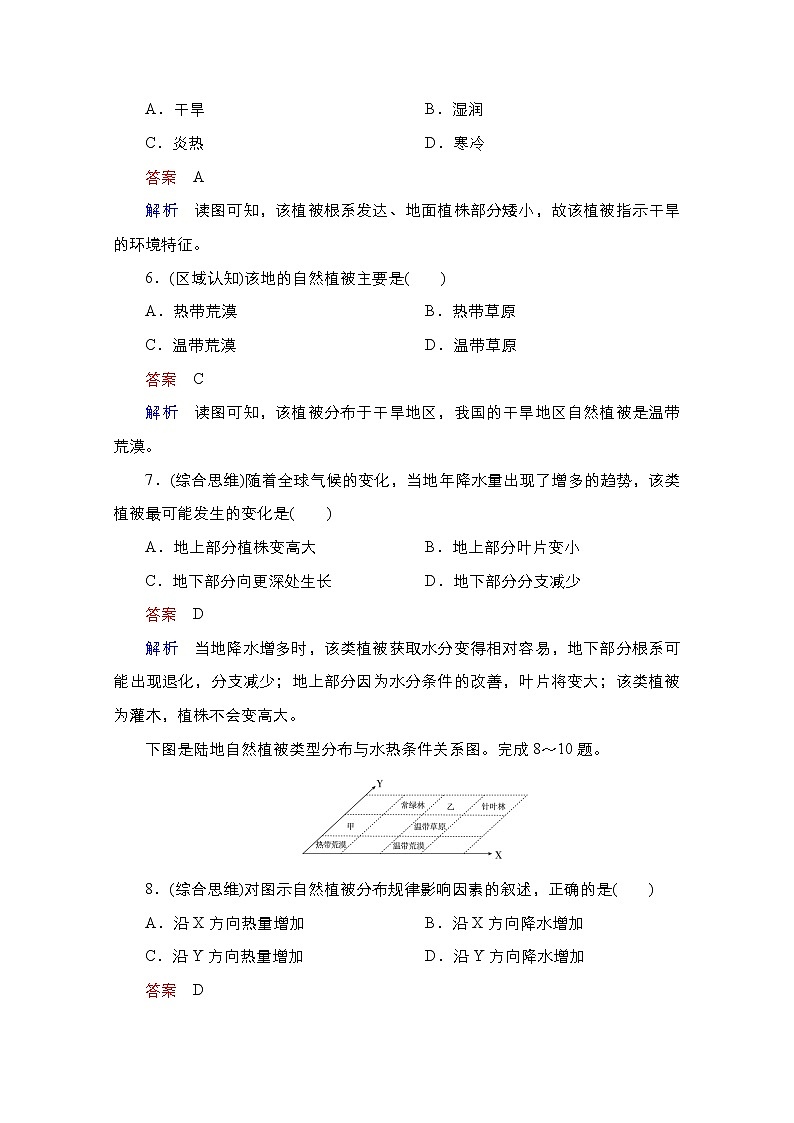 2020-2021学年高一新教材地理湘教版必修第一册作业：第五章 地球上的植被与土壤 质量测评03