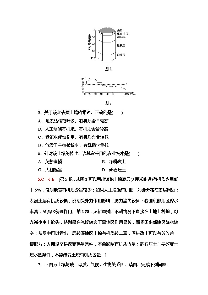 （新教材）【湘教版】2020版地理新导学必修一课时分层作业15　土壤的形成 练习03