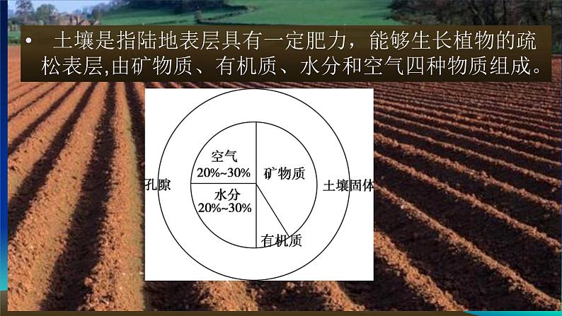 2019-2020学年【新教材】人教版高中地理必修1课件：5.2 土壤（共30张PPT）05