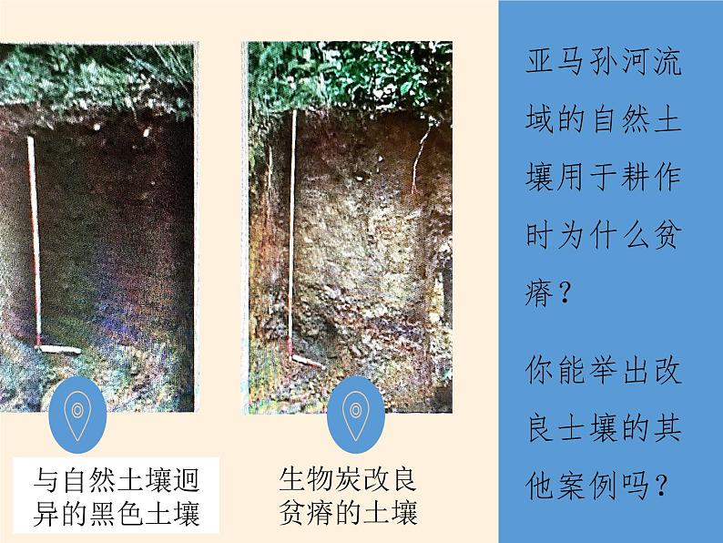 2019-2020学年【新教材】人教版高中地理必修1课件：5.2土壤（共39张PPT）04