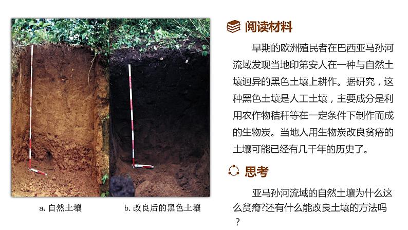 2019-2020学年【新教材】人教版高中地理必修1课件：5.2 土壤 (共32张PPT)03