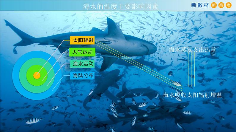 2019-2020学年【新教材】人教版高中地理必修1课件：3.2 海水的性质(共36张PPT)第7页