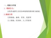 2019-2020学年【新教材】人教版高中地理必修1课件：5.1植被（共24张PPT）