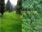2019-2020学年【新教材】人教版高中地理必修1课件：5.1植被（共54张PPT）