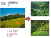 2019-2020学年【新教材】人教版高中地理必修1课件：5.1植被（共54张PPT）