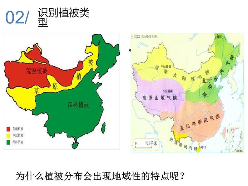 2019-2020学年【新教材】人教版高中地理必修1课件：5.1植被（共54张PPT）07