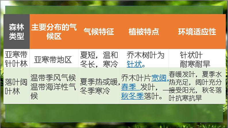 2019-2020学年【新教材】人教版高中地理必修1课件：5.1 植被 (共36张PPT)08