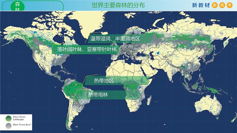 2019-2020学年【新教材】人教版高中地理必修1课件：5.1 植被(共20张PPT)08