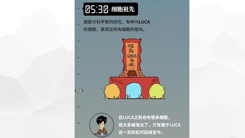 2019-2020学年【新教材】人教版高中地理必修1课件：1.3 地球的历史(共21张PPT)08