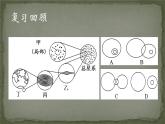 2019-2020学年【新教材】人教版高中地理必修1课件：1.1地球的宇宙环境2（共21张PPT）