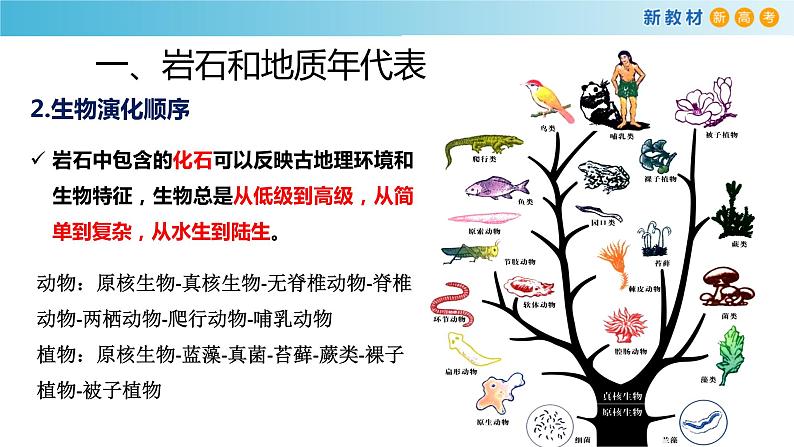 2019-2020学年【新教材】人教版高中地理必修1课件：1.3  地球的历史课件(共20张PPT)第6页