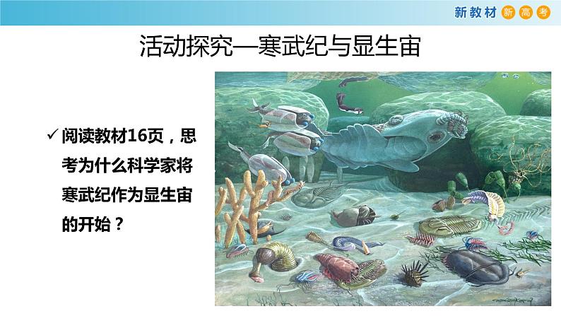 2019-2020学年【新教材】人教版高中地理必修1课件：1.3  地球的历史课件(共20张PPT)第8页