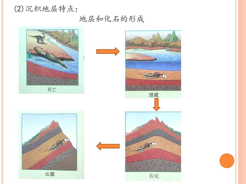 2019-2020学年【新教材】人教版高中地理必修1课件：1.3 地球的历史 (43张PPT)第7页