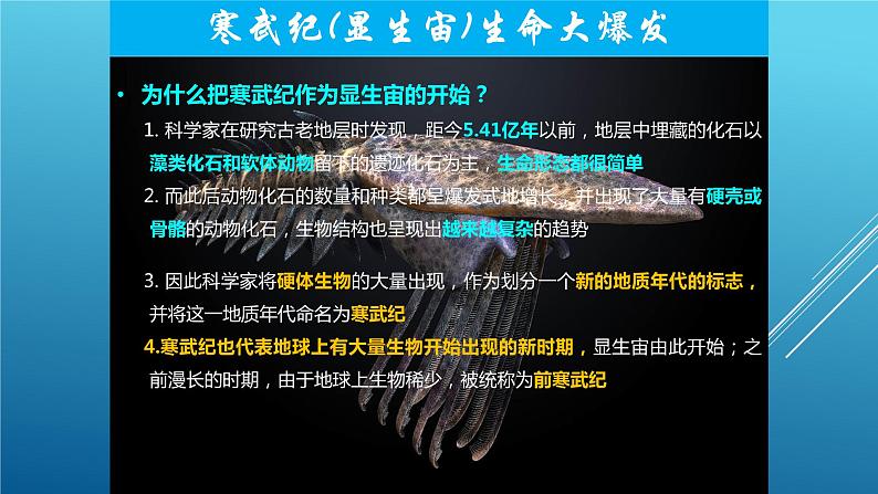 1.3 地球的历史-【用好新教材】2020-2021学年高一地理同步精品课件（新教材人教版必修第一册）08