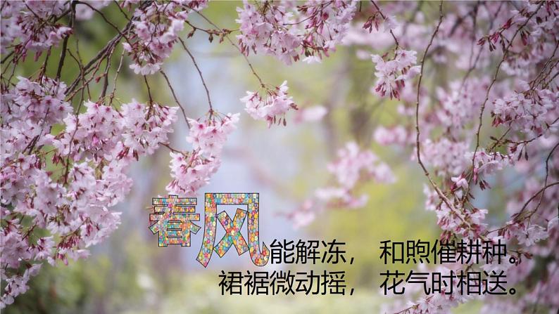 2019-2020学年【新教材】人教版高中地理必修1课件：2.2大气的受热过程和大气运动（共32张PPT）02