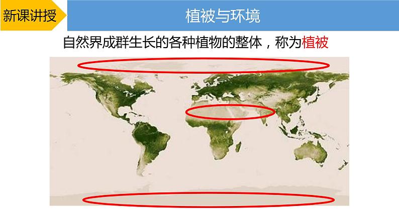 2019-2020学年【新教材】人教版高中地理必修1课件：5.1植被（20张）04