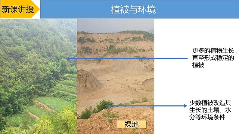 2019-2020学年【新教材】人教版高中地理必修1课件：5.1植被（20张）06